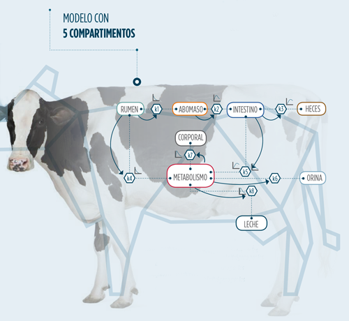 Nutrici N De Precisi N En Rumiantes Parte Ii Un Abordaje Pr Ctico