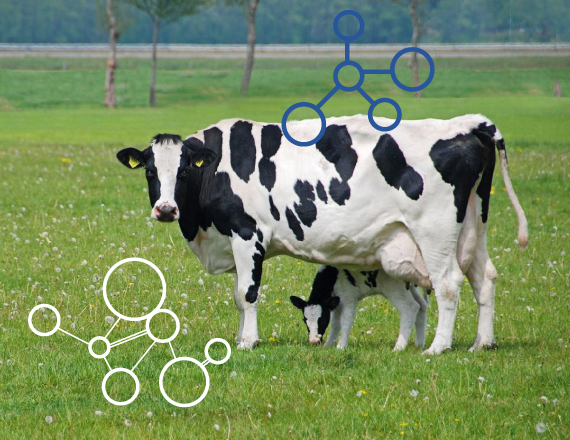Nuevos modelos de predicción de emisión de metano en vacuno de leche