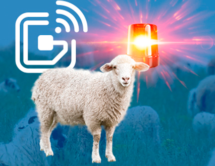 Descubre la tecnología RFID para la detección del celo en ovejas?