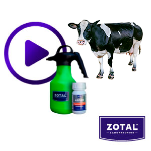 Desparasitación eficaz en vacas y ovejas