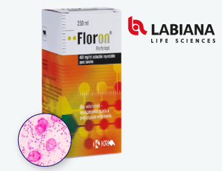 Floron® 450 mg/ml, solución inyectable para bovino