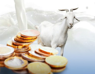Puesta en valor de la leche de cabra - Una necesidad acuciante