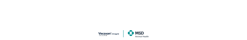 Vecoxan MSD