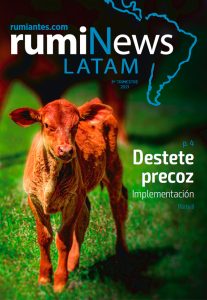 rumiNews LATAM 3er Trimestre