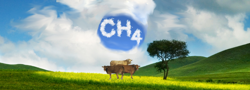 Un estudio analiza los tipos de carbohidratos de las plantas y su potencial impacto en las emisiones de metano de los rumiantes
