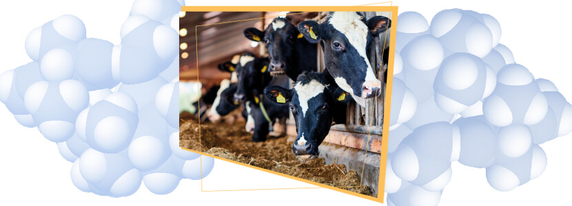 Uso de la monensina en la vaca de leche: una historia con sólidos fundamentos científicos