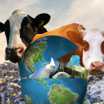 Mitigación de gases de efecto invernadero en el sector lácteo y cárnico bovino