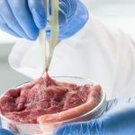 Médicos defienden una bajada del IVA en la carne