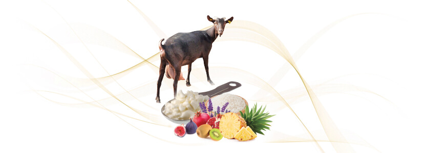 Actividad coagulante de extractos vegetales en la leche de cabra murciano granadina