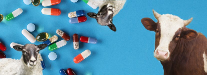 Disminuyen residuos de medicamentos veterinarios en alimentos