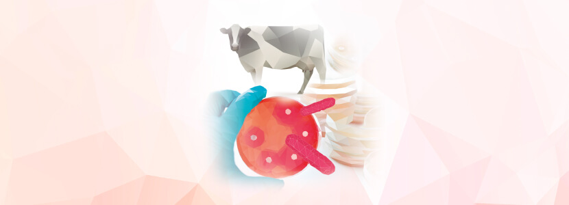 Estudio de sensibilidad antibiótica en procesos respiratorios en ganado bovino