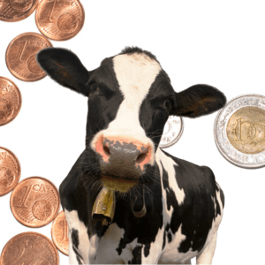 La subida de costes en el precio de la leche de cabra - Rumiantes