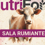nutriForum 2024: Actualización en Nutrición de Rumiantes