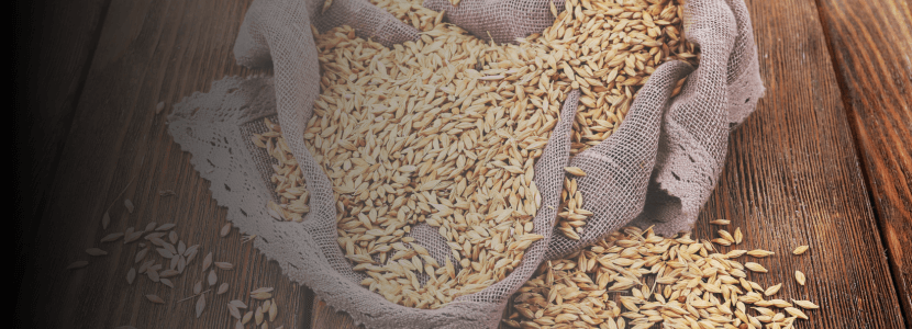 Cierre Semanal: Cereales al Alza por Condiciones Climáticas y Plagas
