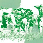 Estrategias alternativas para reducir el uso de antimicrobianos en el tratamiento de la mastitis bovina