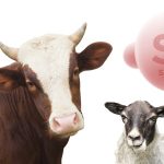 Fuentes de selenio en rumiantes