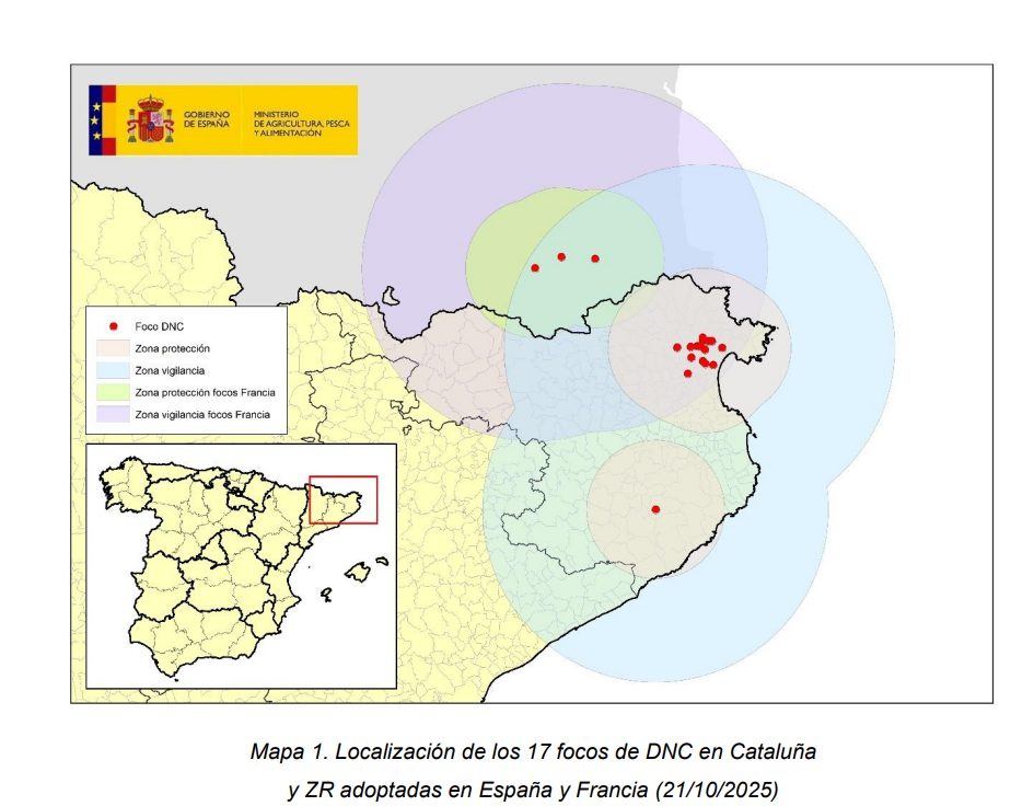 mapa dermatosis nodular
