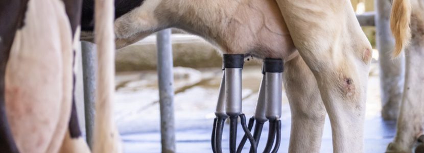 El impacto positivo de los sistemas de ventilación