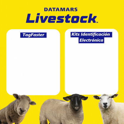 http://Datamars%20identificacion%20ovino