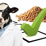 Calidad del gránulo en piensos para vacas: factores que marcan la diferencia