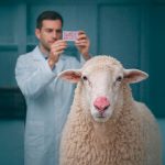 Carcinoma de células escamosas en ovino raza rasa aragonesa: paradigma predisposición-fenotipo