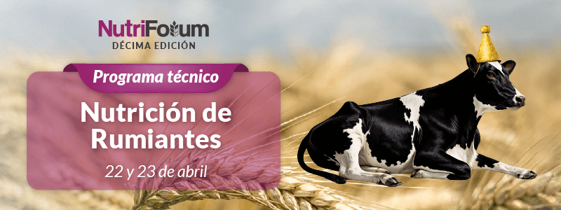 La nutrición de rumiantes: programa estrella en nutriForum 2026