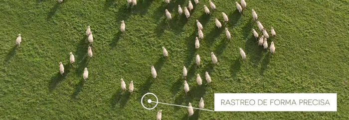 Localización de ganado sin cobertura