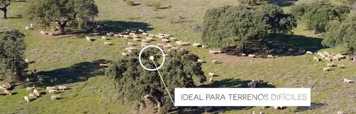 Localización de ganado sin cobertura