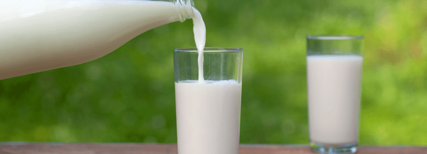 El precio de la leche sufre la mayor caída en 20 años