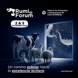 http://RUMIFORUM