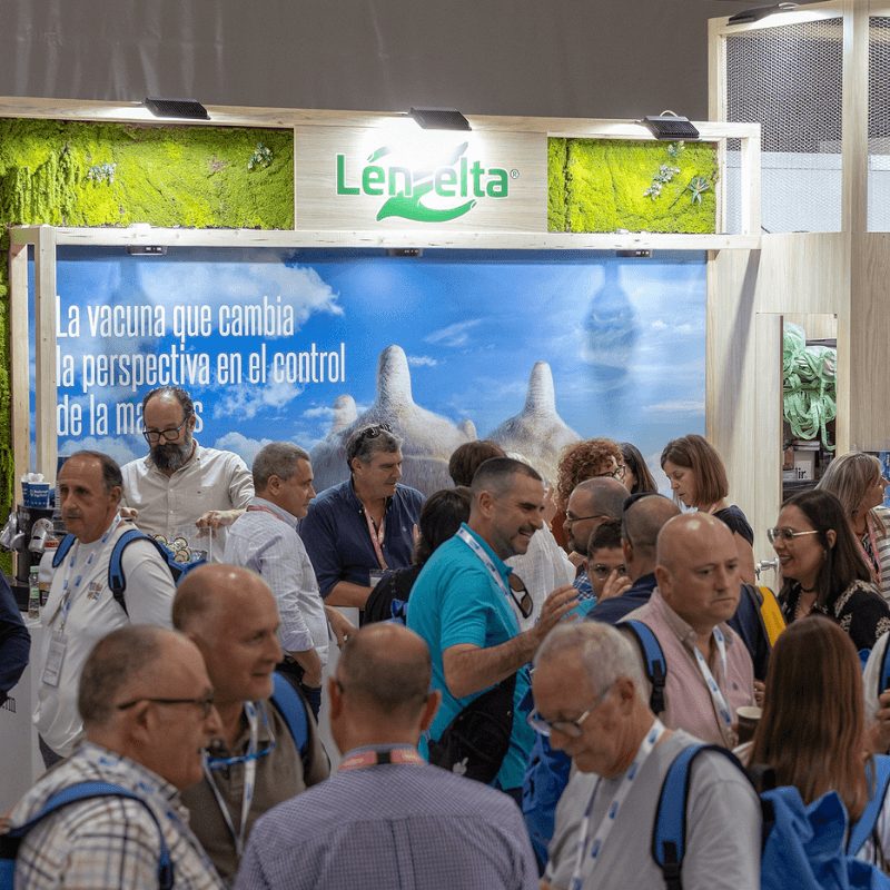 Boehringer Ingelheim presenta en el Congreso ANEMBE su nueva vacuna...