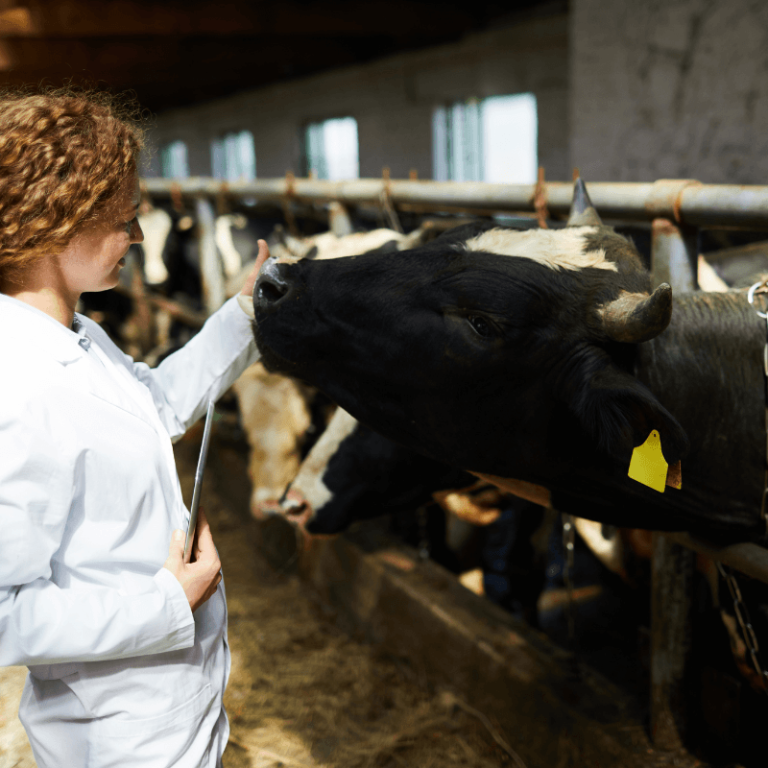 Los veterinarios reclaman su papel para reforzar la bioseguridad