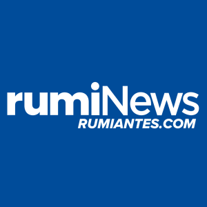 Logo rumiNews